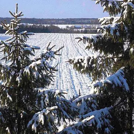 B Six